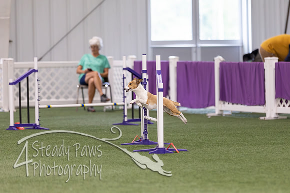RookieICEAgility2026161