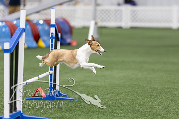 RookieICEAgility2026163