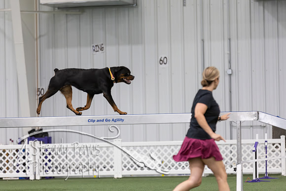 RookieICEAgility2026164