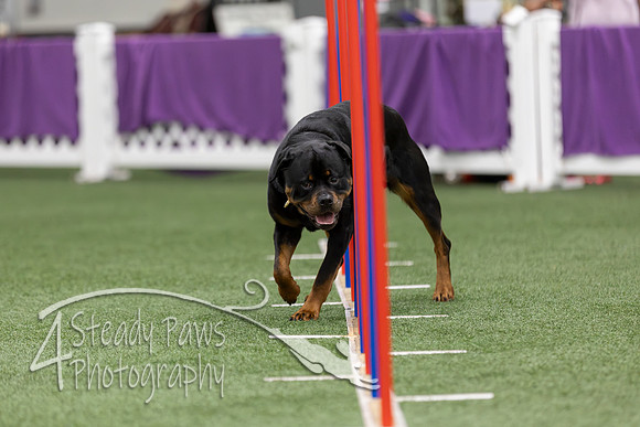 RookieICEAgility2026166