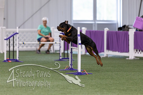 RookieICEAgility2026169