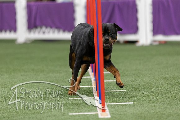 RookieICEAgility2026168