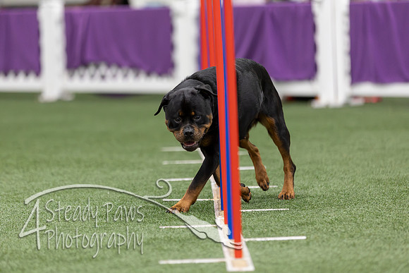 RookieICEAgility2026167