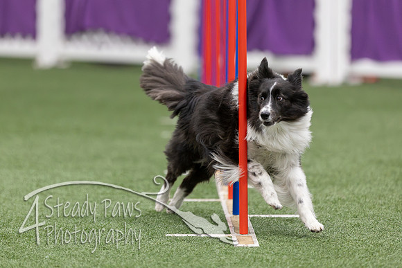 RookieICEAgility2026180