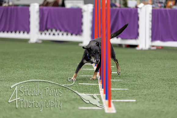 RookieICEAgility2026184