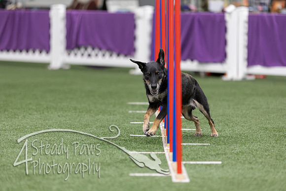 RookieICEAgility2026185