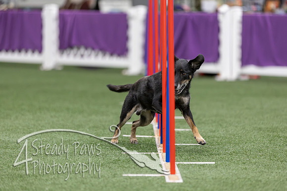 RookieICEAgility2026186