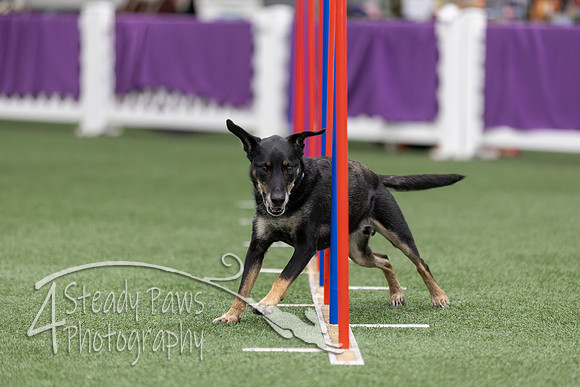RookieICEAgility2026187