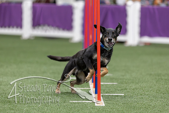 RookieICEAgility2026188
