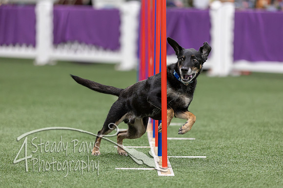RookieICEAgility2026189