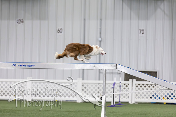 RookieICEAgility2026193