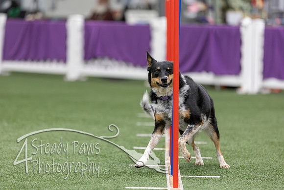RookieICEAgility2026192
