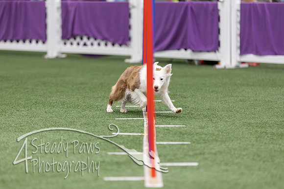RookieICEAgility2026200