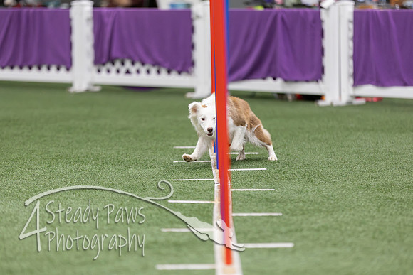 RookieICEAgility2026199