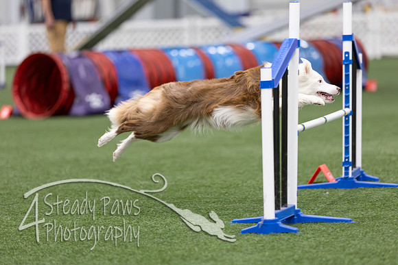 RookieICEAgility2026202