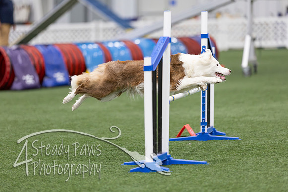 RookieICEAgility2026203