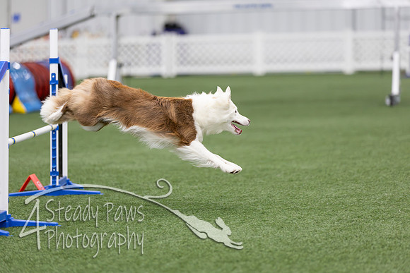 RookieICEAgility2026205
