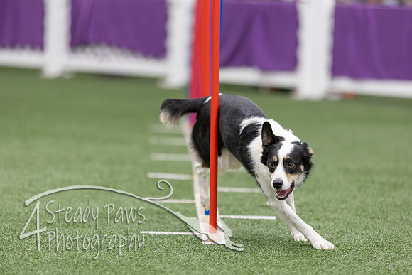 RookieICEAgility2026209