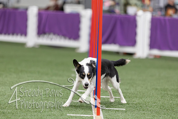 RookieICEAgility2026208
