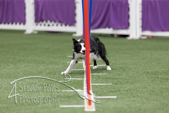 RookieICEAgility2026217