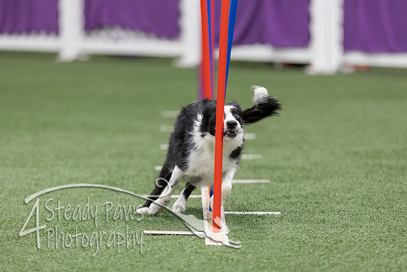 RookieICEAgility2026218