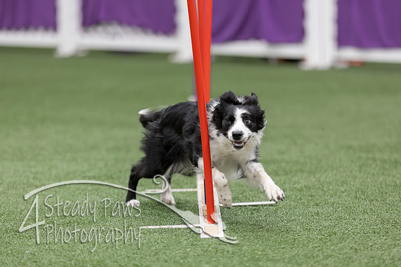 RookieICEAgility2026219
