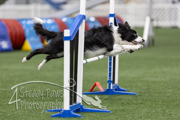 RookieICEAgility2026225