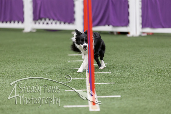 RookieICEAgility2026229