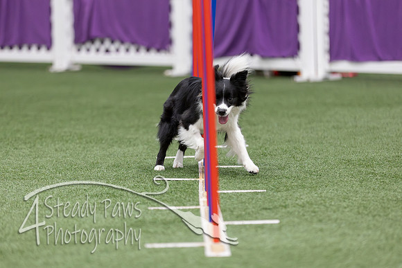 RookieICEAgility2026230
