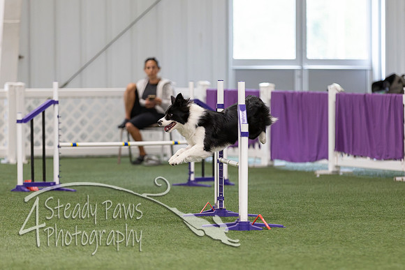RookieICEAgility2026234