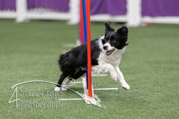 RookieICEAgility2026231