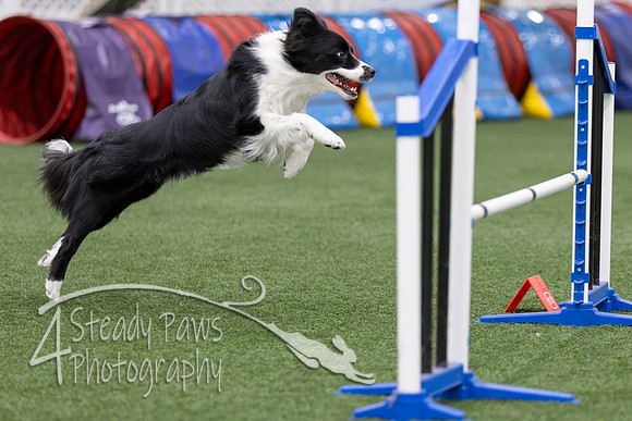RookieICEAgility2026235