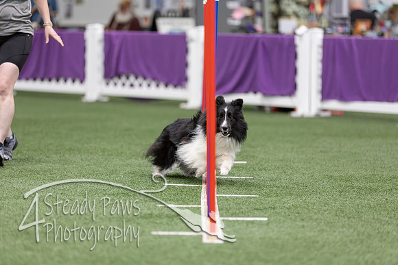 RookieICEAgility2026243