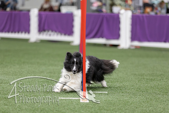 RookieICEAgility2026244
