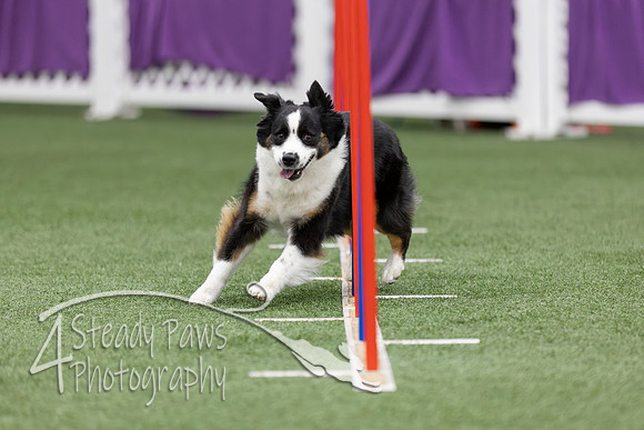 RookieICEAgility2026250