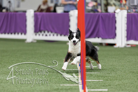 RookieICEAgility2026249