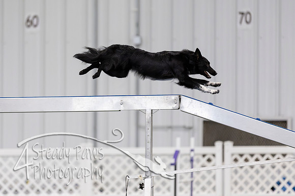 RookieICEAgility2026254
