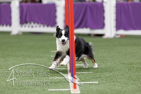 RookieICEAgility2026252