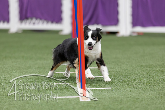 RookieICEAgility2026253