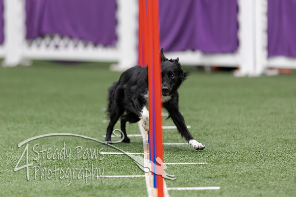 RookieICEAgility2026257