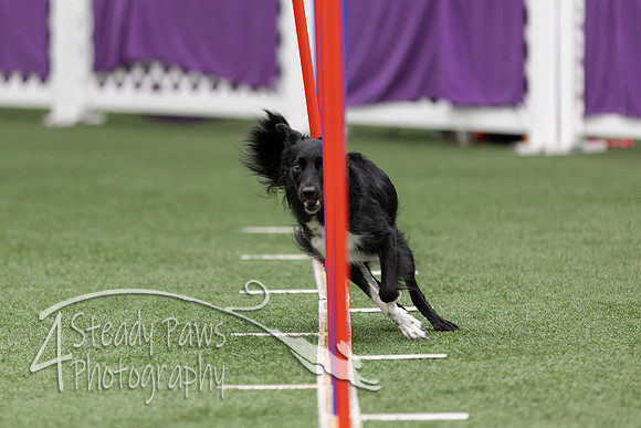 RookieICEAgility2026256