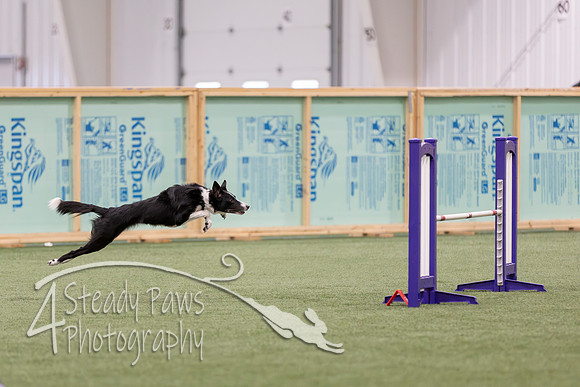RookieICEAgility2026260