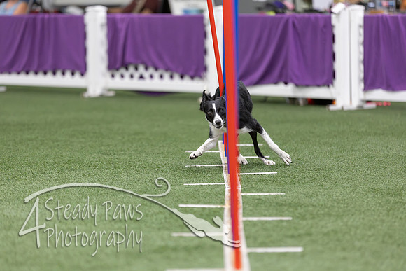 RookieICEAgility2026264