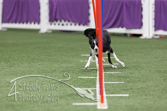 RookieICEAgility2026265