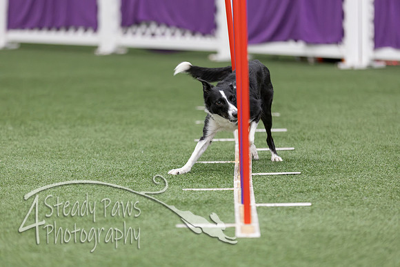 RookieICEAgility2026266