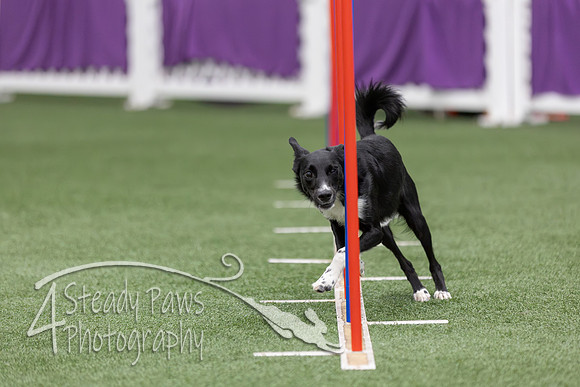 RookieICEAgility2026272