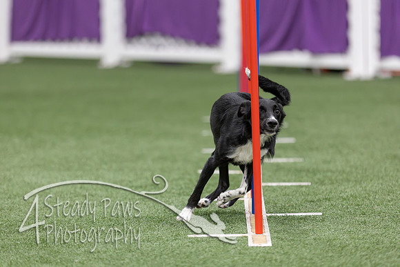 RookieICEAgility2026273