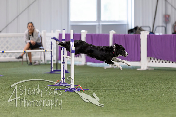 RookieICEAgility2026277