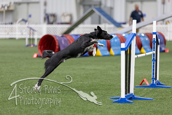 RookieICEAgility2026274