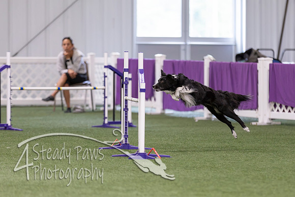 RookieICEAgility2026279